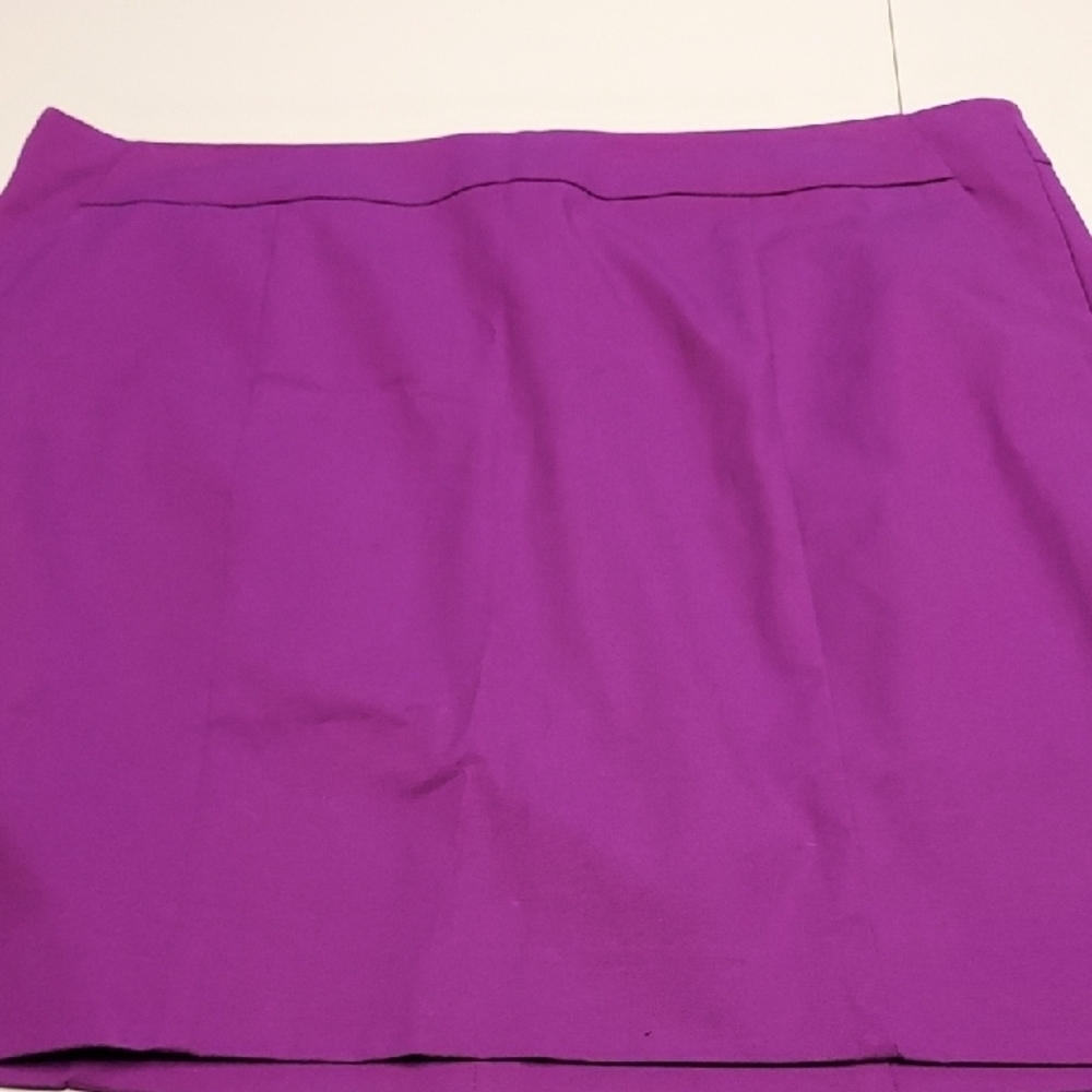 Ann Taylor Madison Skirt Sz 12P Like new